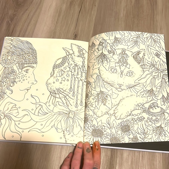 Spirit animals coloring book. Comes with metallic Colored pencils. (Unopened) - Picture 4 of 6